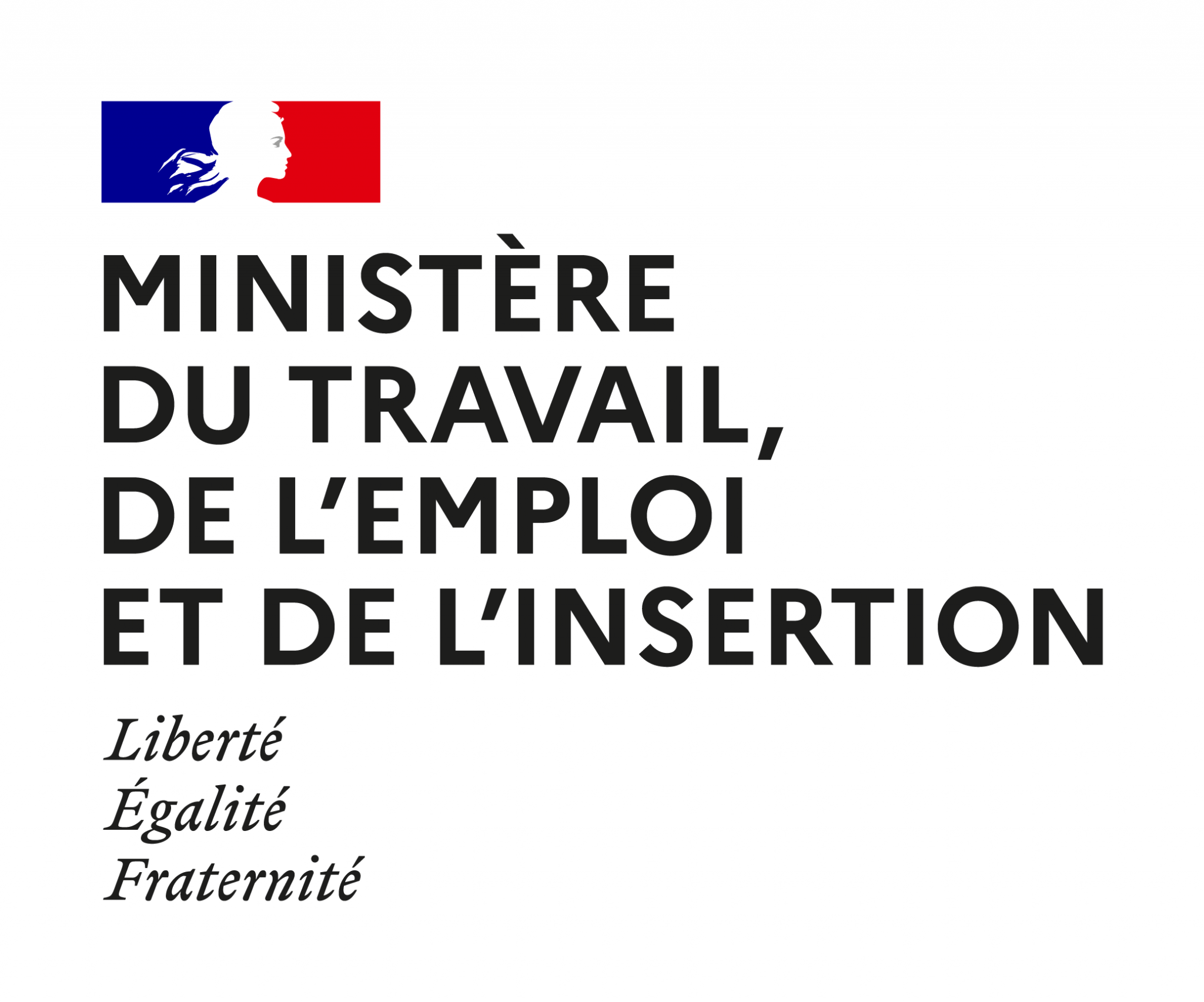Logo du Ministère du travail, de l&#039;emploi et de l&#039;insertion (Liberté, Egalité, Fraternité)